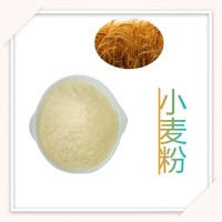小麦粉 含多种营养成分 浮小麦胚芽粉蛋白高 品质安全 资质齐全