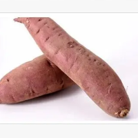 基地直供 特色农产品 鲜红薯 鲜食蒸烤都优秀 果型好