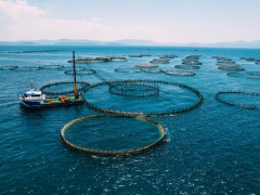 上海国际渔业展-上海渔博会