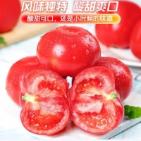 京地达西红柿普罗旺斯西红柿山东 净重4.5斤 单果120g+蔬菜源头直发包邮