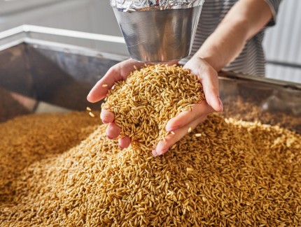 主要畜禽低蛋白低豆粕多元化饲料配制技术指导意见