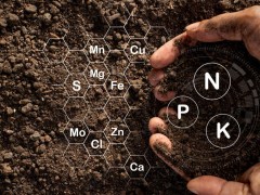 什么是特肥、特种肥？